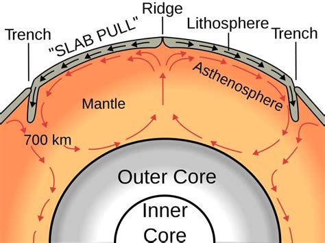 active or passive mantle lithosphere plate tectonics - Google Search | Geology: Tectonic ...