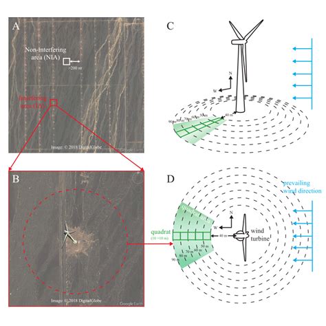 The illustration of the field study design. Matrixes of wind turbines ...