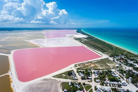 The Unbelievable Pink Lakes Of Las Coloradas In Mexico • Expert Vagabond