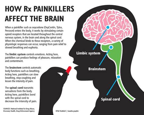 CDC VitalSigns - Prescription Painkiller Overdoses in the US | Causes I care about | Pinterest ...