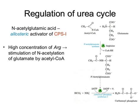 Urea