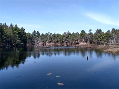 McCrae Lake Conservation Reserve – McCrae Lake Trail – justabitfurther