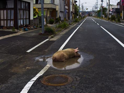 New Photos From The Fukushima Evacuation Zone, Japan - Business Insider