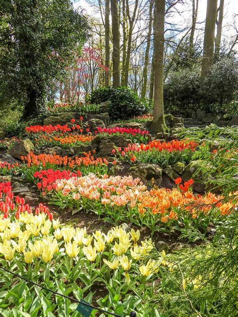 Visiting Keukenhof Gardens in 2024 | Exploring the Netherlands