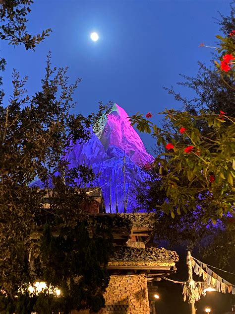 Expedition Everest has an underrated night vibe. : r/WaltDisneyWorld