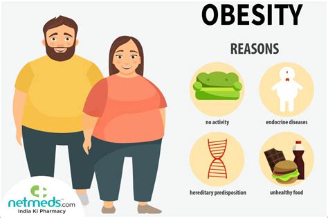 Obesity Causes Symptoms And Treatment | Hot Sex Picture