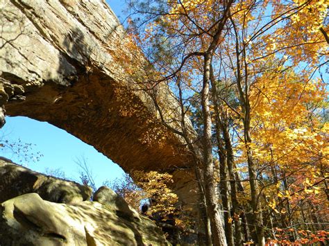 Red River Gorge Fall Colors in Kentucky 2024 - Rove.me