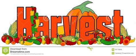 harvest vegetables clipart 20 free Cliparts | Download images on Clipground 2024