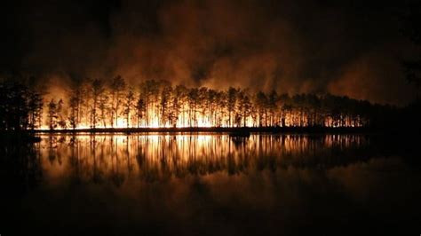 Pine Barrens forest fire fully contained after burning over 800 acres - nj.com