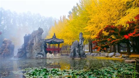 Colorful Autumn at Nami Island, South Korea. Stock Image - Image of ...