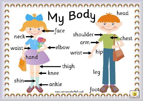 Teaching small children about their body parts - The neck and shoulders — Steemit