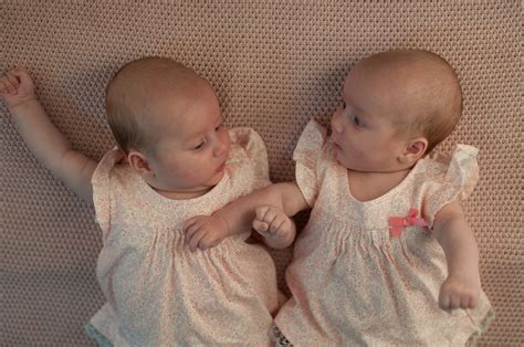 Difference Between Maternal and Paternal Twins | Definition, Formation ...