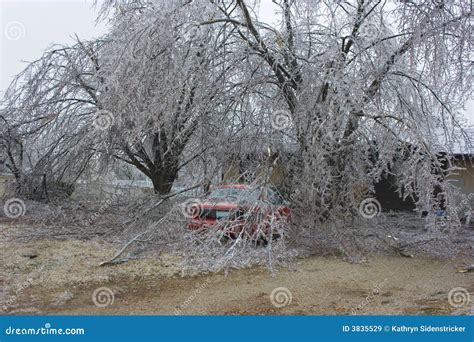 Ice Storm Damage Editorial Stock Image - Image: 3835529