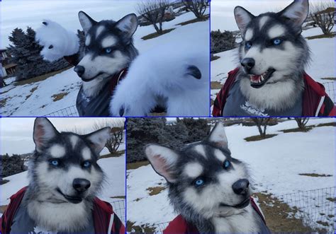 I found snow! - RainierHusky : r/furry