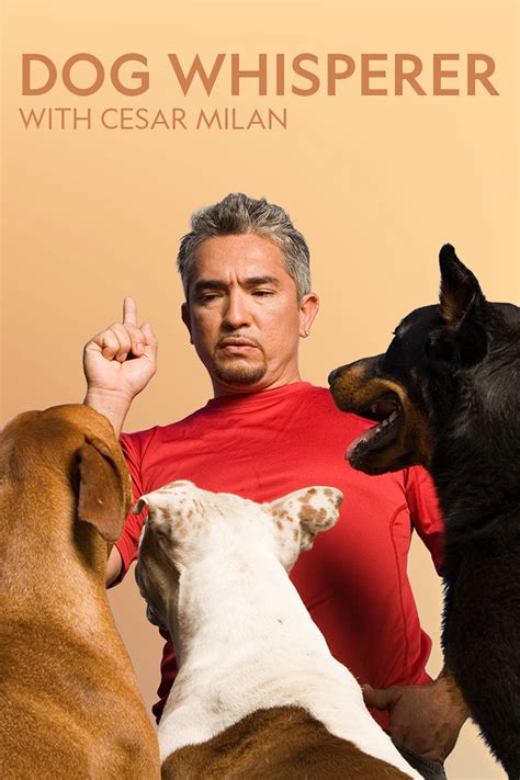 Dog Whisperer with Cesar Millan - Where to Watch and Stream - TV Guide