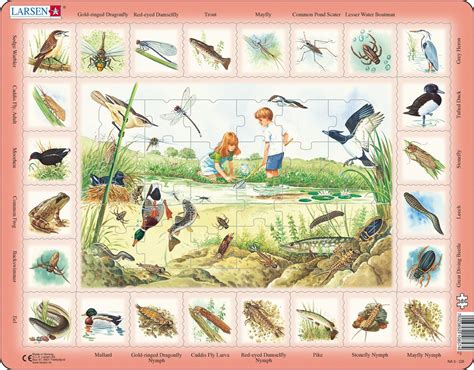 NA3 - Nature Puzzle: Pond :: Science and facts :: Puzzles :: Larsen Puzzles