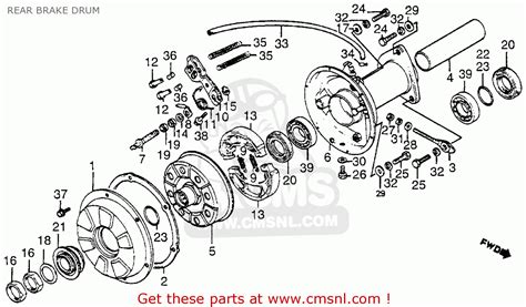 Suzuki Ozark 250 Rear End Diagram - Wiring Diagram Pictures