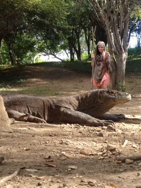 Sharks and Dragons in Komodo National Park, Indonesia - Moving in Circles