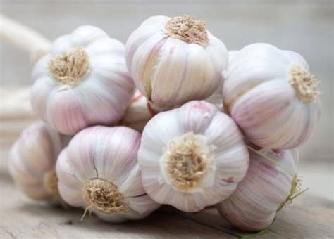 What is a clove of garlic? Here are the all mind-blowing medicinal benefits and aids of garlic ...