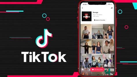 [100% OFF] TikTok Masterclass – Complete Guide to Tik Tok with ...