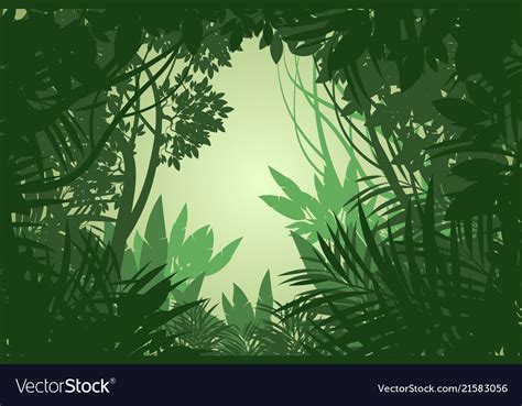 Rain forest scene Royalty Free Vector Image - VectorStock