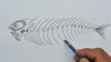 Fish Skeleton Drawing Easy - bmp-clown