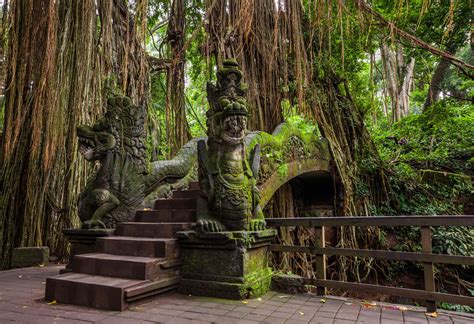 Foresta delle scimmie, Ubud: habitat delle scimmie a Bali | Viaggiamo