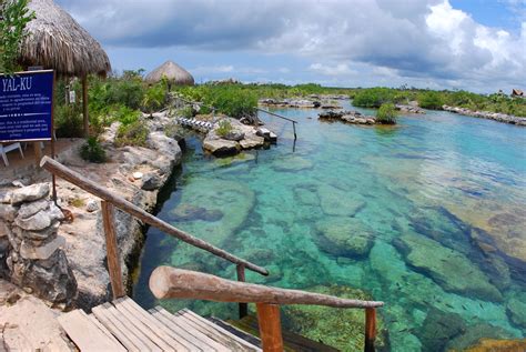 Discover the Beauty of Akumal Bay & Yal Ku Lagoon in Mexico