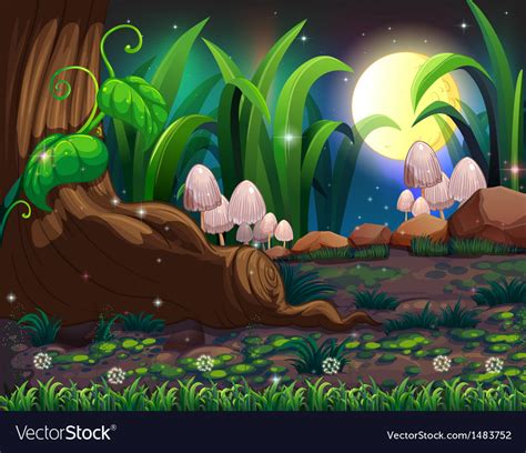 An enchanted forest Royalty Free Vector Image - VectorStock