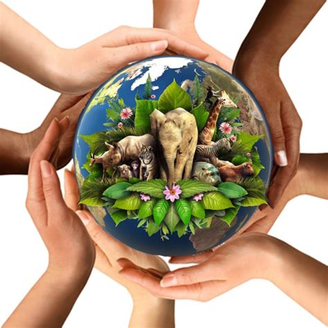 Earth In Hands Picture Free Transparent Image HQ Transparent HQ PNG ...