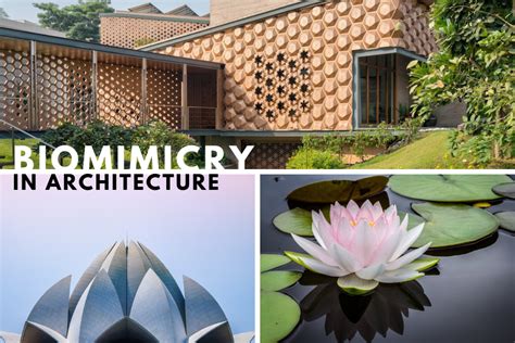 Biomimicry in Architecture - Towards A Sustainable Approach - The Architects Diary