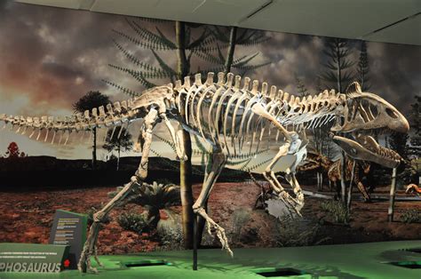 Cryolophosaurus Fossil | Extinct Animals