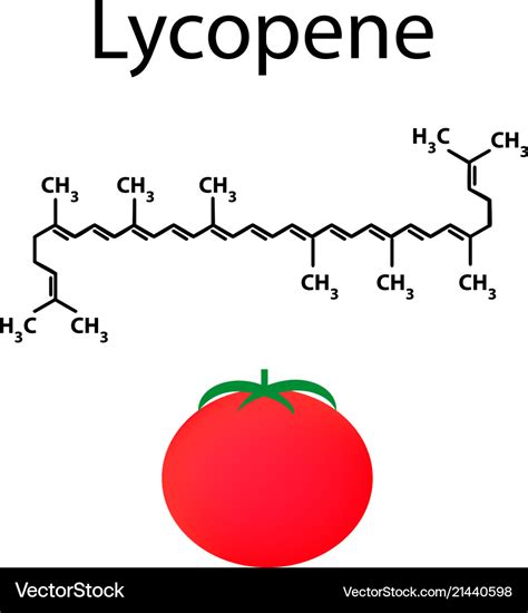 Lycopene is a chemical molecular formula tomato Vector Image