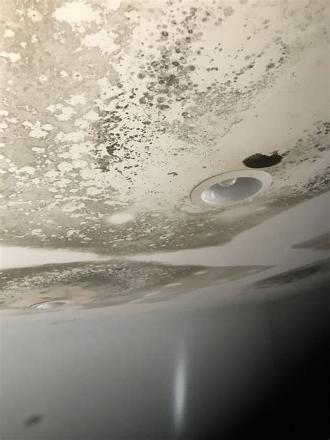 Ceiling Mold Growth | Learn the Cause and How to Prevent it - Environix