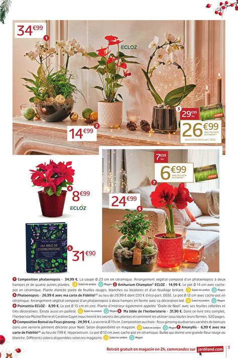 Jardiland Catalogue Promotionnel - Noël 2023 - Valable à partir du 06. ...