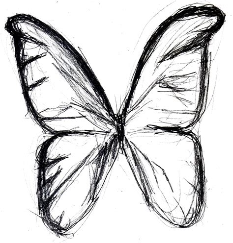 Butterfly Pencil Drawing at GetDrawings | Free download