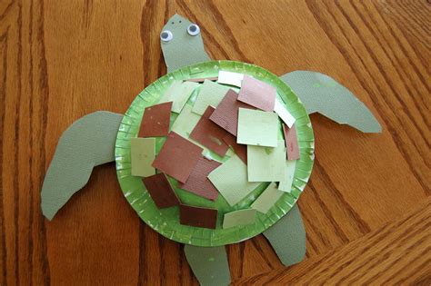 Sea Turtle Craft