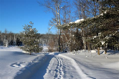 winter-activities-johnstons-cranberry-bala-muskoka-ontario26 - Muskoka Lakes Farm & Winery