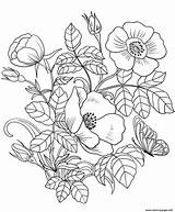 Spring Flowers Coloring Page Printable sketch template