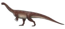 Phuwiangosaurus - Wikipedia