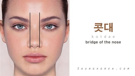 If someone have a low bridge nose, it is called 낮은 콧대 (najeun kotdae). If the bridge of the nose ...