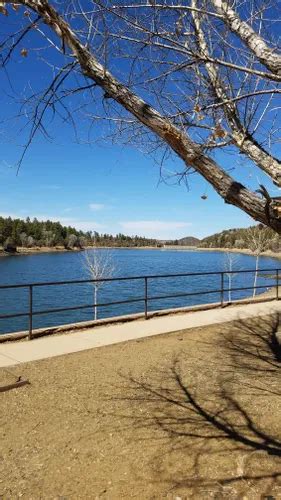 2023 Best 10 Kid Friendly Trails in Prescott National Forest | AllTrails