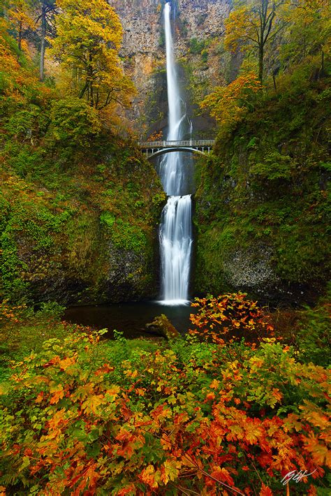 F259 Fall Multnomah Falls, Columbia River Gorge, Oregon | Randall J Hodges Photography