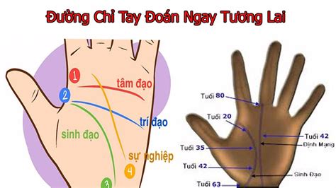 Xem đường chỉ tay biết ngay tương lai. Khỏi đi coi bói - YouTube