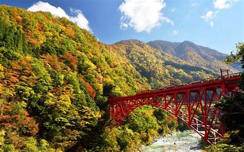 Top Things to Do in Toyama Prefecture (with Photos) - Tripadvisor