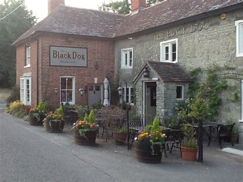 THE BLACK DOG INN, Chilmark - Menu, Prices & Restaurant Reviews ...