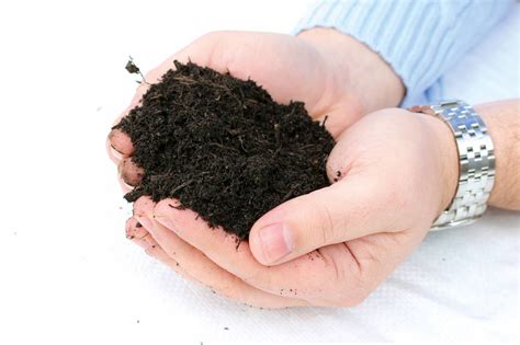 Organic Soil Improver | Peat Substitute | Premium Topsoil Supplies