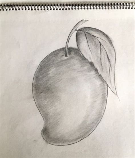 Mango Drawing & Sketches for Kids | Pencil sketches easy, Fruit art drawings, Fruit sketch