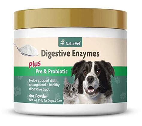 The 25 Best Dog Digestive Enzymes of 2020 - Pet Life Today