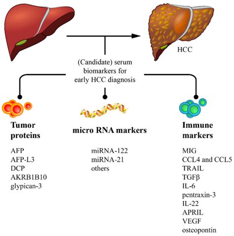 Cancers | Free Full-Text | Serum Biomarkers for the Prediction of ...